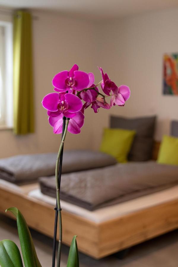 Apartment Alte Raiffeisenkasse 로텐부르크 옵 데어타우버 외부 사진